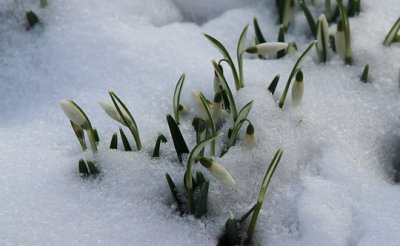 Значителни валежи от сняг и дъжд - къде ще вали