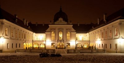 Виенска елегантност