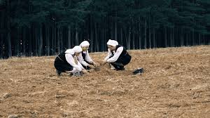 Земя - магията на подницата