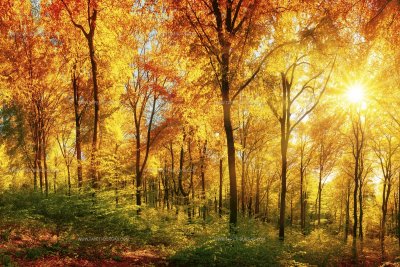 Слънчево и все по-горещо време