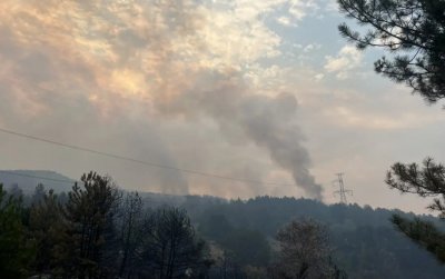 Ülkenin birçok yerinde yangınla mücadele devam ediyor 