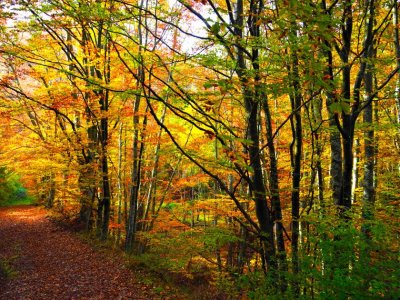 Предимно слънчево, с максимални температури между 18° и 23°