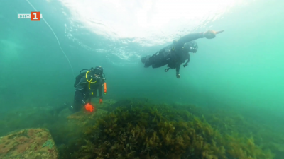 Светът на подводния Несебър - част 2
