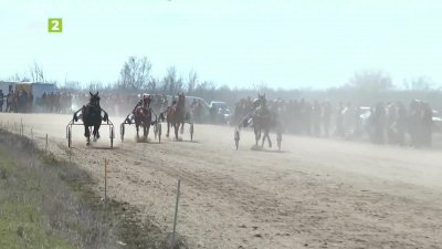 Среща с конете и с хората, които ги ценят