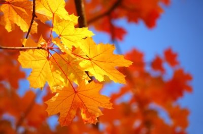 Над 20° в последния ден на октомври