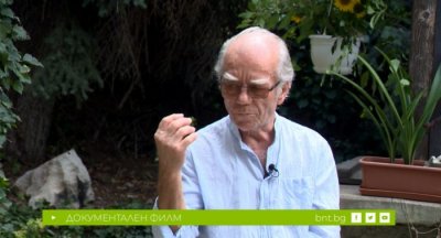 Повелителят на камъка