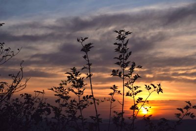 Очакват се валежи в близките дни
