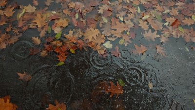 Ще вали и следобед, и през нощта, спиране на валежите утре