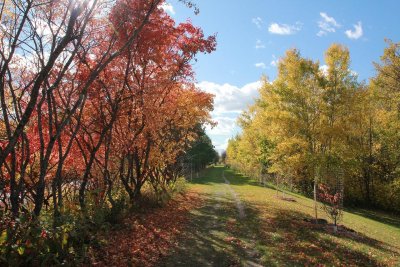 Максималните температури в четвъртък ще бъдат между 10° и 15°