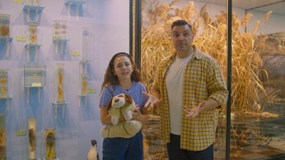 Домашните животни - 14.12.2025