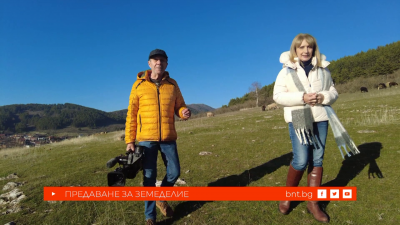 Три вълнуващи истории, 03.01.2026