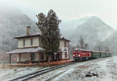 Родопската теснолинейка на 80 години