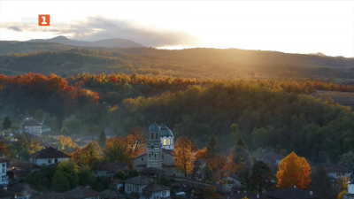 Хубавата Елена