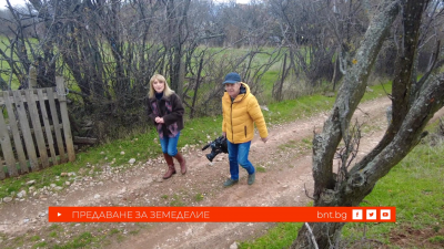 Как се произвеждат пчели майки - 13.12.2025