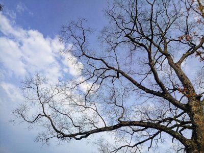 Без валежи в близките дни