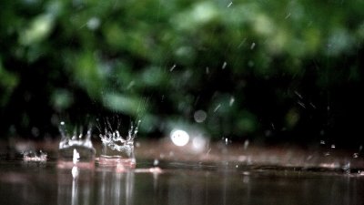 Ветровито, с почти повсеместни валежи в събота