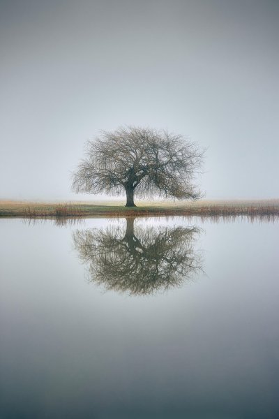 Мъгли и ниска слоеста облачност в много райони от страната