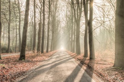Слънчево, със сутрешни мъгли