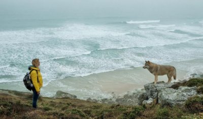 Стаята на чудесата