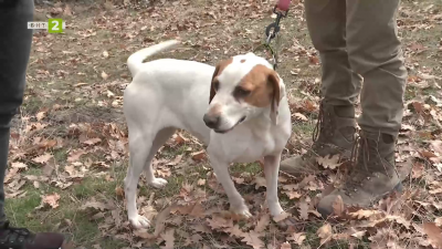 Ловните пътеки на 2025 година