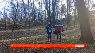 История за овце и края на илюзиите - 24.01.2026