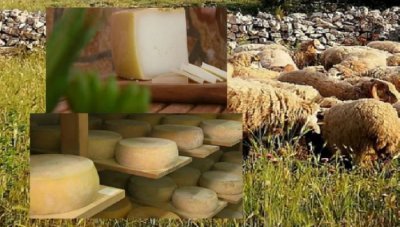 Семейство Бакоши