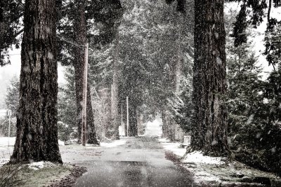Валежи от дъжд и сняг днес и утре
