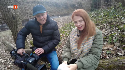 Вино, крави, овце и мечти