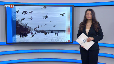 Новини по БНТ на украински език, 02.02.2026