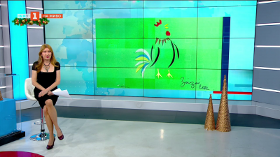 Французинът Стефан Моасе, който живее в България - размисли и мечти