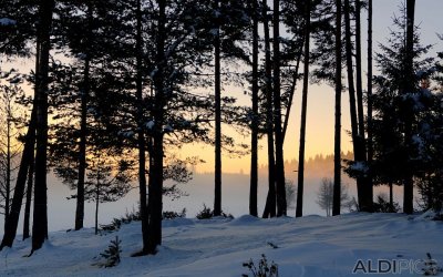Валежи от дъжд и сняг, силен вятър и застудяване