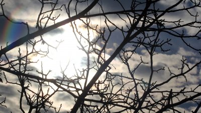 Бързо затопляне до вторник, ново застудяване от сряда