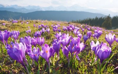 Слънчево време в понеделник