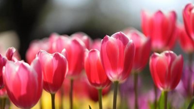 Предстои затопляне в близките дни