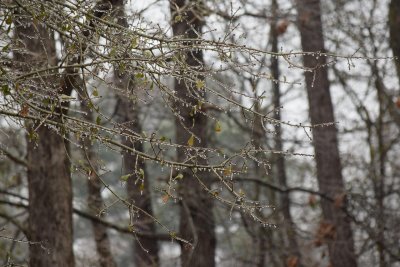 Застудяване и валежи от дъжд и сняг от понеделник