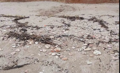 Почистват плажовете край Езерец и Крапец от мазут и тонове боклук