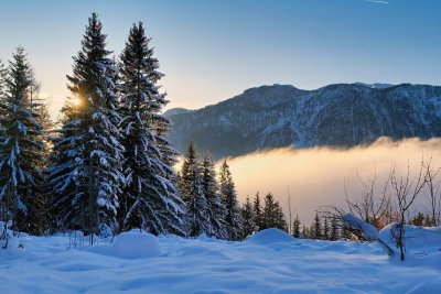 Слънчево време с максимални температути между 7&deg; и 12&deg; в четвъртък