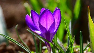 Слънчево време и в четвъртък