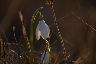 Максимални температури от 7&deg; до 13&deg; в сряда