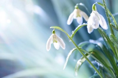 Слънчево време в последния ден от работната седмица