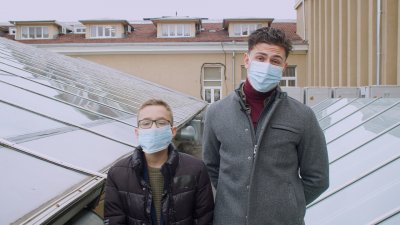 Какво са вирусите