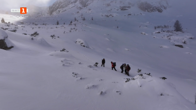 Антигравитационното притегляне на Мальовица