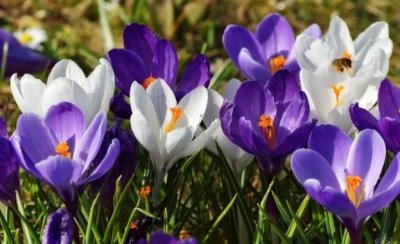 След обед слънчево с температури до 15&deg;