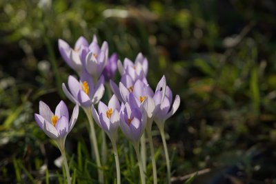 Слънчево начало на месец март