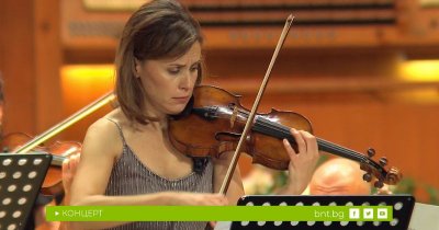 Колекция Stradivarius