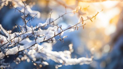 Слънчево време в четвъртък