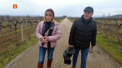 Три фермерски истории, чието начало отвежда поколение назад