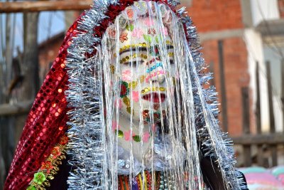 Село Рибново, 22.02.2026