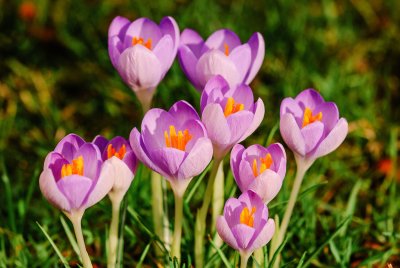 Слънчево и топло и през новата седмица