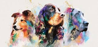 В навечерието на британските изложби CRUFT - 28.02.2026